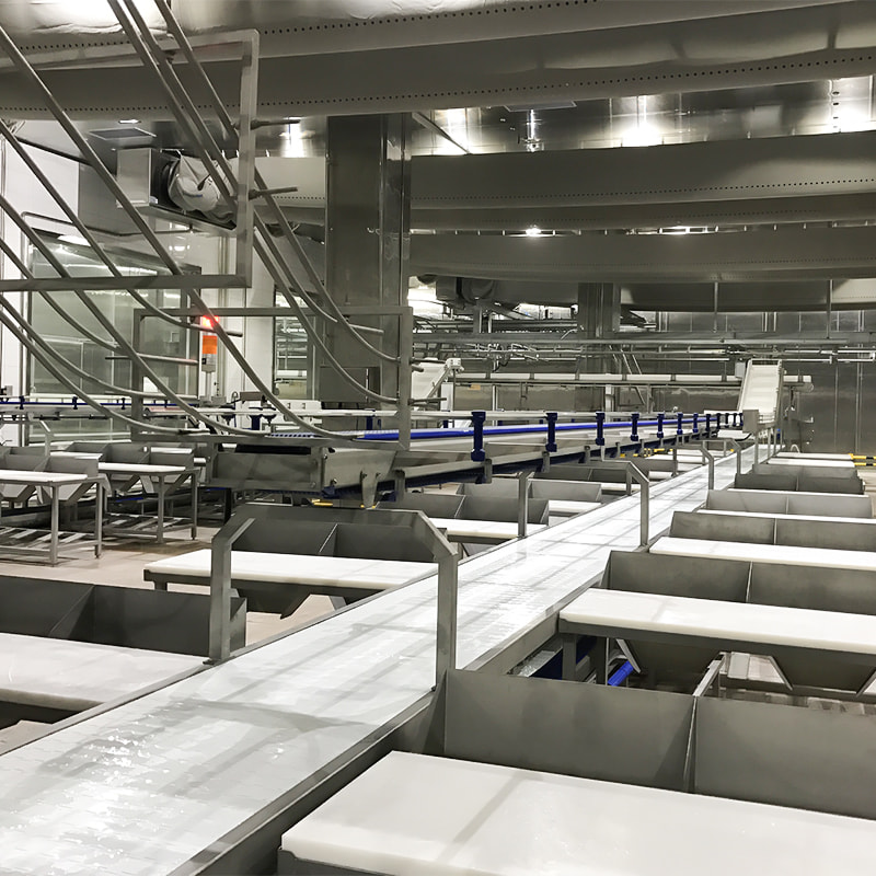 Cattle Cutting and Deboning Solution